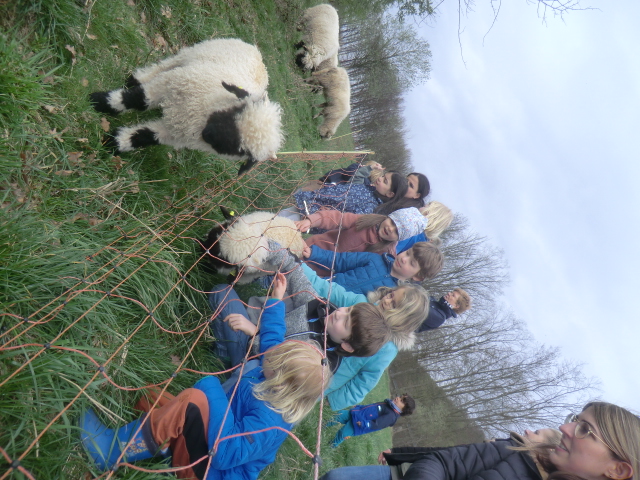 Kinder und Schafe