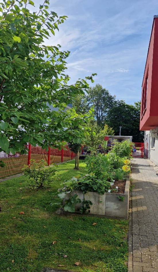 Garten mit Hochbeeten und (Obst-?)bäumen