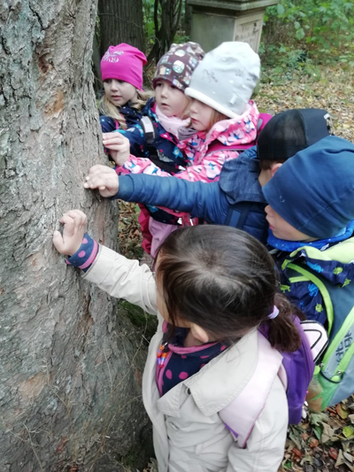 Kinder betrachten die Rinde eines Baumes