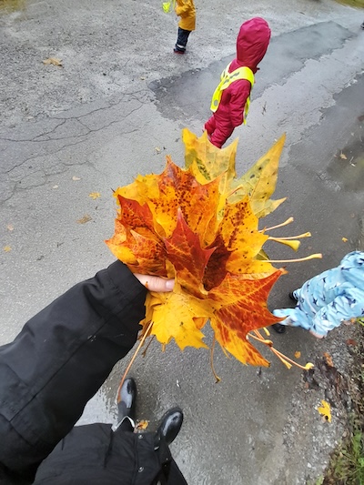 Eine Handvoll Herbstblätter